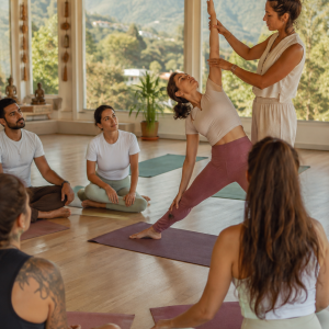14 Days Pain Recovery Retreat Experience in Dharmshala, Himachal Pradesh, India