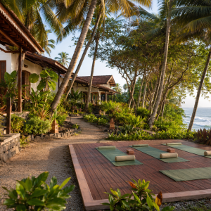 14 Days Body Purification Retreat in Kovalam, Keralam, India